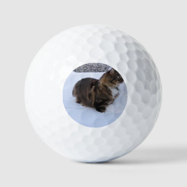 Pelotas De Golf norwegian forest cat in snow (Anverso)