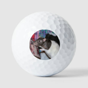 Pelotas De Golf Nosey
