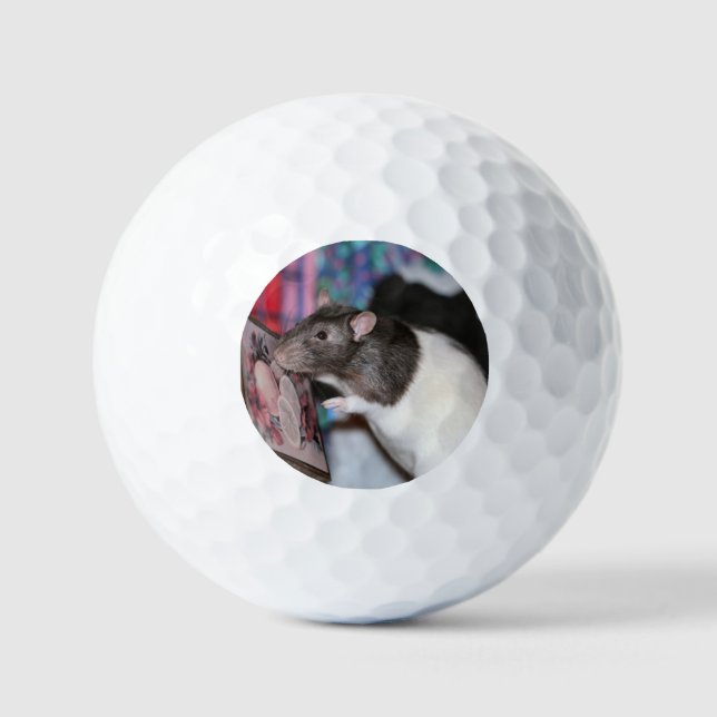 Pelotas De Golf Nosey (Anverso)