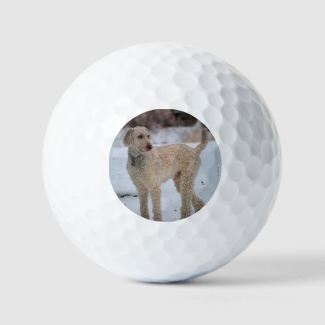 Pelotas De Golf Ollie (Anverso)