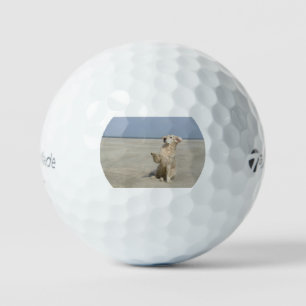 Pelotas De Golf ondulación dorada en la playa