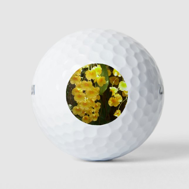 Pelotas De Golf Orquídeas Amarillas colgando flores tropicales (Anverso)