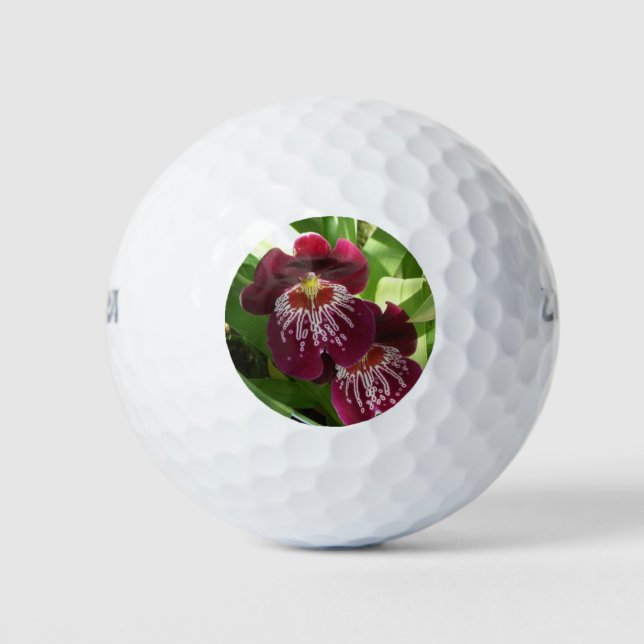 Pelotas De Golf Orquídeas de Marrón II Elegante Floral (Anverso)