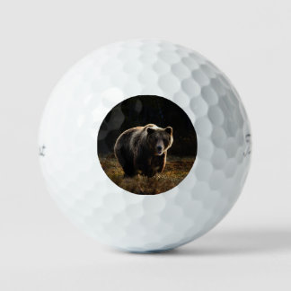 Pelotas De Golf Oso