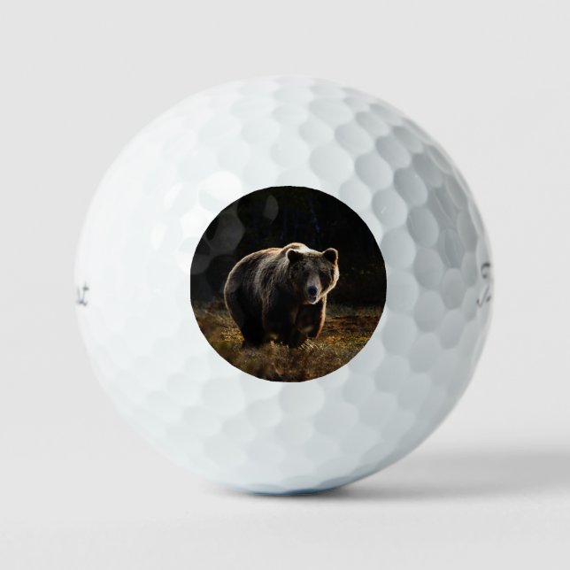 Pelotas De Golf Oso (Anverso)