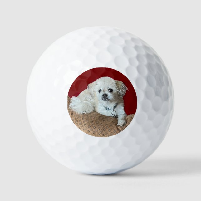 Pelotas De Golf Oso de Malshi (Anverso)
