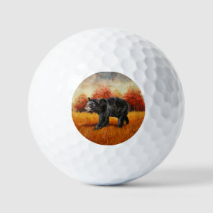 Pelotas De Golf Oso Negro en el bosque otoñal