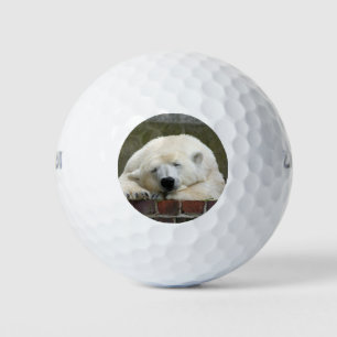 Pelotas De Golf Oso_polar_2015_0301