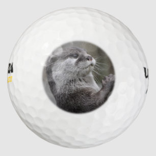 Pelotas De Golf Otter Mastermind