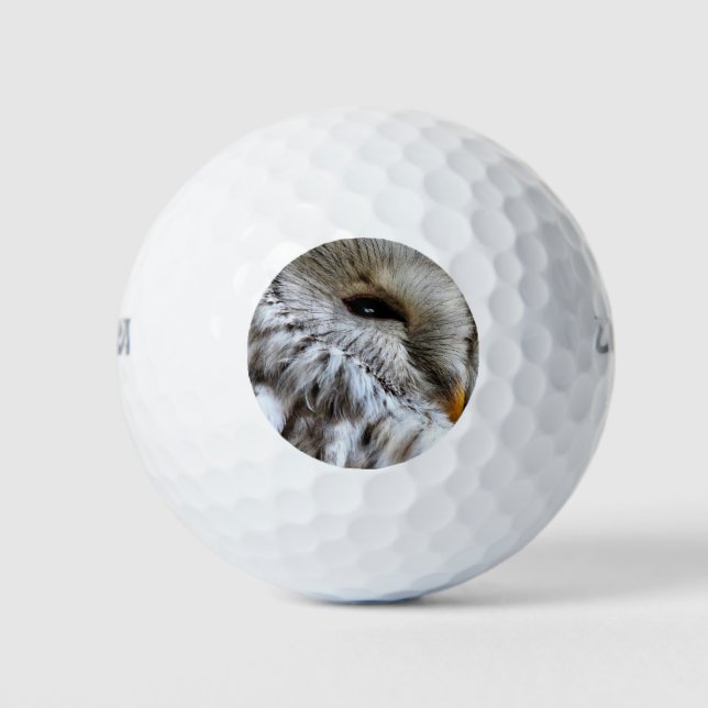 PELOTAS DE GOLF OWLS (Anverso)