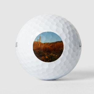 Pelotas De Golf Paisaje del desierto de Saguaro Sunset I Arizona