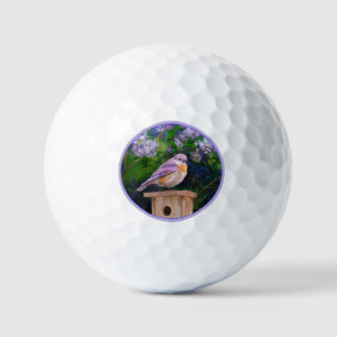Pelotas De Golf Pájaro azul oriental en nieve - Fotografía origina