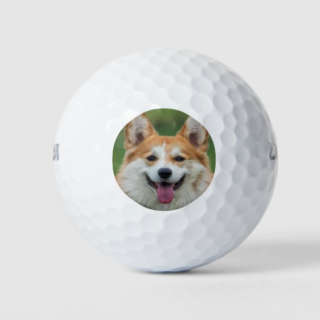 Pelotas De Golf Paneles de Mascota fotográfico personalizados (Anverso)