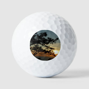 Pelotas De Golf Panorama de Torrey Pine Sunset