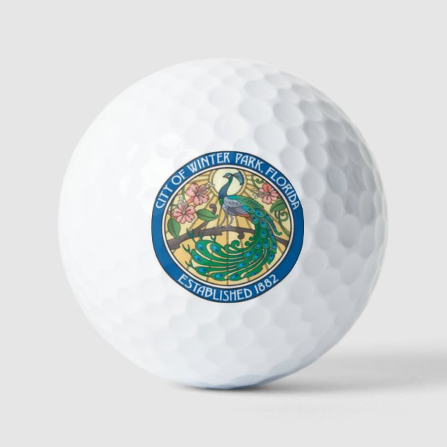 PELOTAS DE GOLF PARK WINTER FLORIDA (Anverso)
