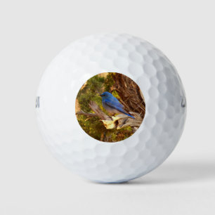 Pelotas De Golf Parque nacional de Arches
