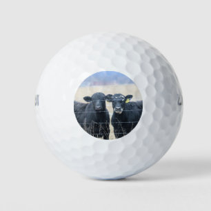 Pelotas De Golf Pasajeros bovinos