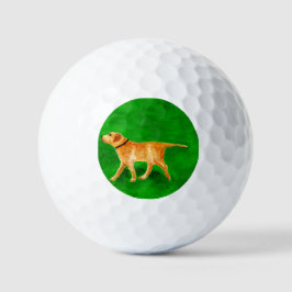 Pelotas De Golf Paseando al perro