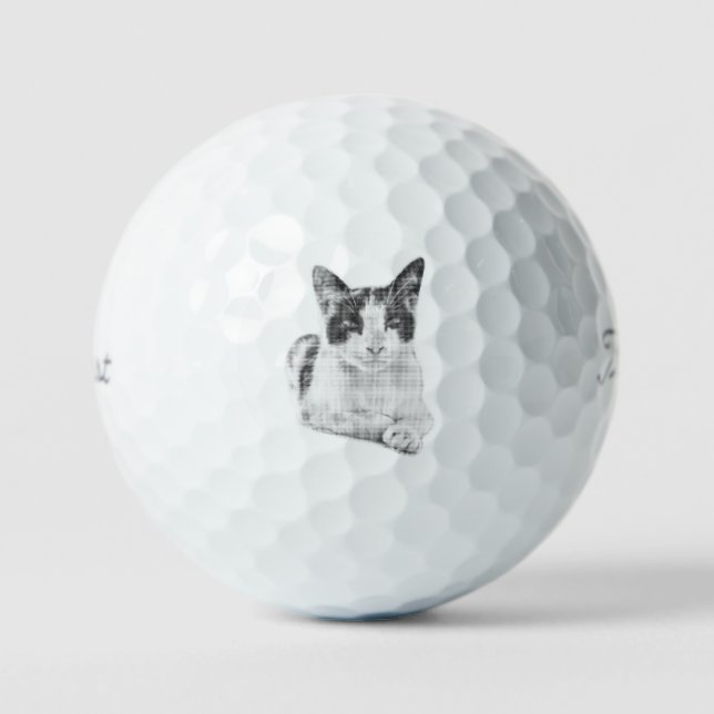 Pelotas De Golf Pata de semitono (Anverso)