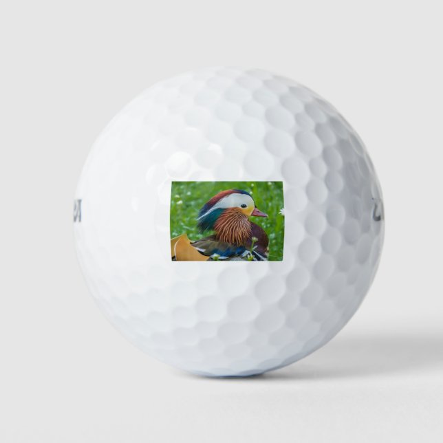 Pelotas De Golf Pato Mandarin (Anverso)