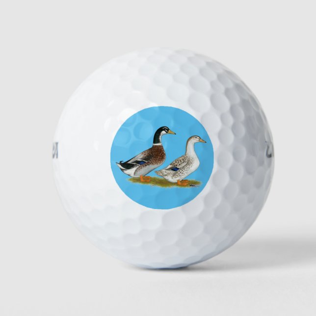 Pelotas De Golf Patos: patio plateado (Anverso)
