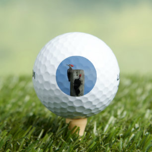 Pelotas De Golf Pecador de madera en una foto de polo