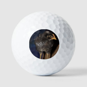 Pelotas De Golf Peep