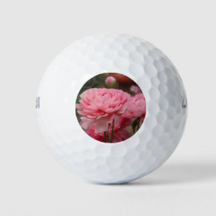 Pelotas De Golf Peony Pink Ranunculus Closeup