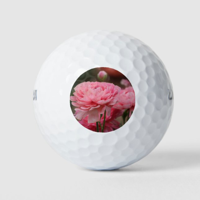Pelotas De Golf Peony Pink Ranunculus Closeup (Anverso)