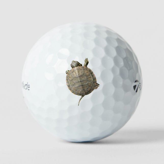 Pelotas De Golf Pequeña Tortuga (Tortoise) (Anverso)