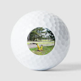 Pelotas De Golf Perdido en el jardín otra vez