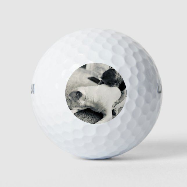 Pelotas De Golf Perrito pitbull somnoliento y mimos de bebé (Anverso)