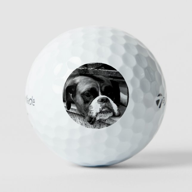 Pelotas De Golf Perro Boxer En Windowsill tmtp5 gbcnm (Anverso)