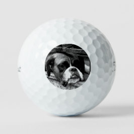 Pelotas De Golf Perro Boxer en Windowsill tpv1 gbcna