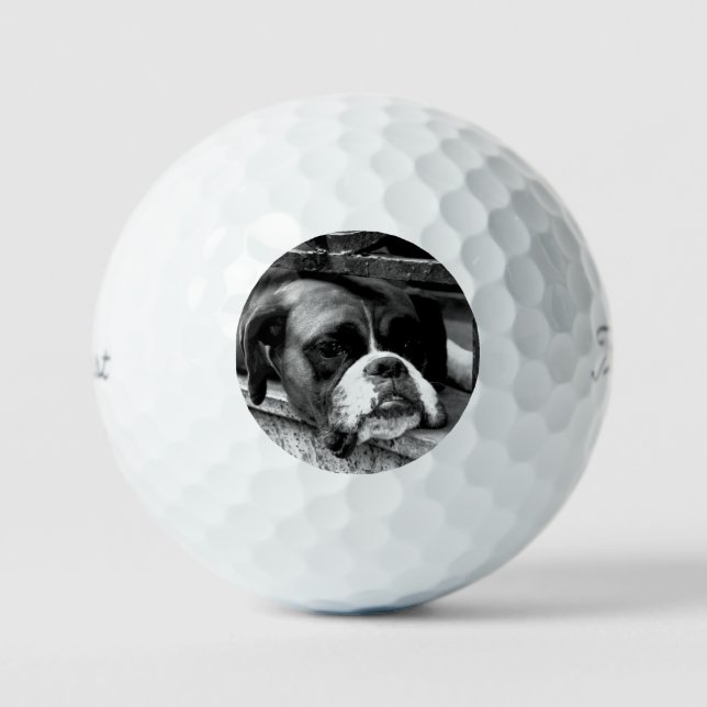 Pelotas De Golf Perro Boxer en Windowsill tpv1 gbcna (Anverso)