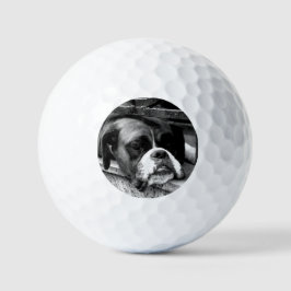 Pelotas De Golf Perro Boxer en Windowsill va gbcnm
