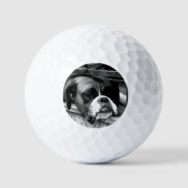 Pelotas De Golf Perro Boxer en Windowsill va gbcnm (Anverso)