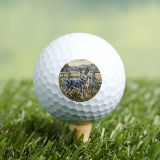 Pelotas De Golf Perro Boyero Australiano (Camiseta in situ)