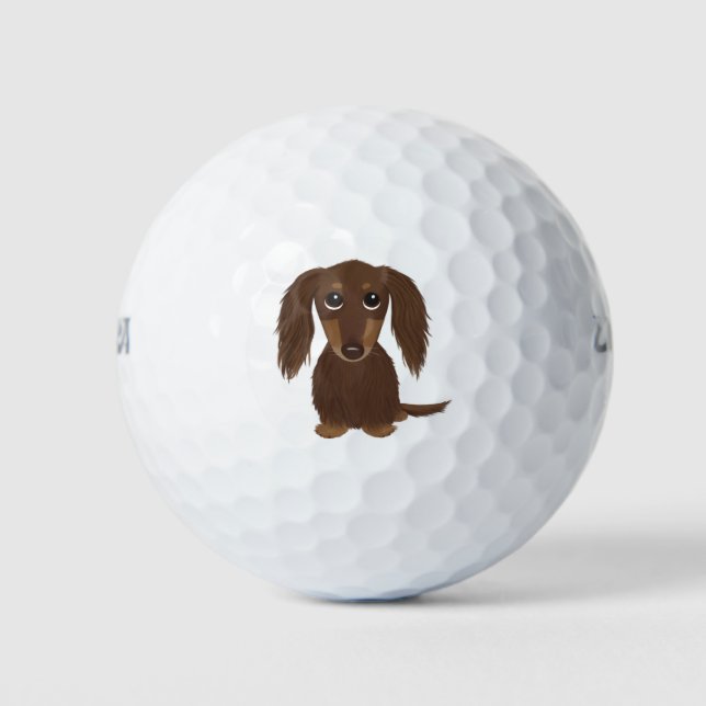Pelotas De Golf Perro Dachshund Chocolate Brown lindo de pelo larg (Anverso)