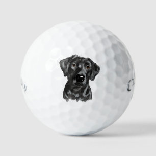 Pelotas De Golf Perro de laboratorio negro