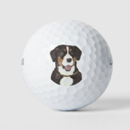 Pelotas De Golf Perro de montaña Entlebucher