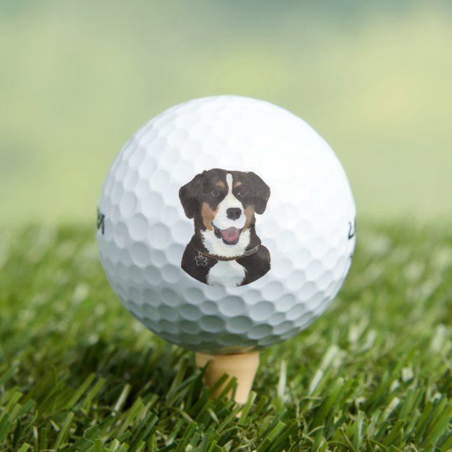 Pelotas De Golf Perro de montaña Entlebucher (Camiseta in situ)