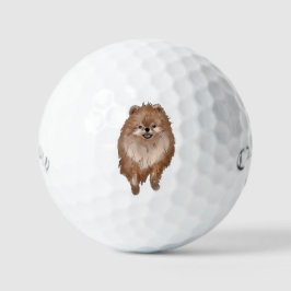 Pelotas De Golf Perro de Pomerania