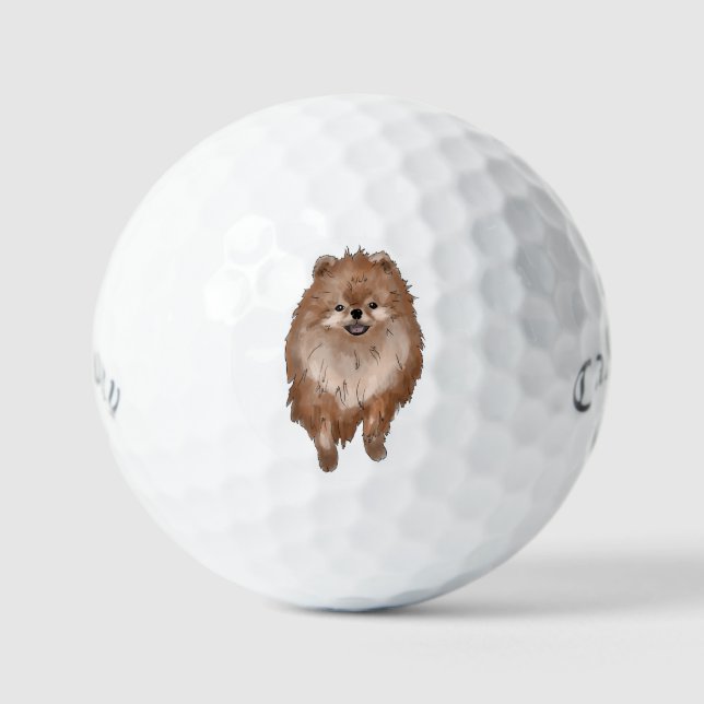 Pelotas De Golf Perro de Pomerania (Anverso)