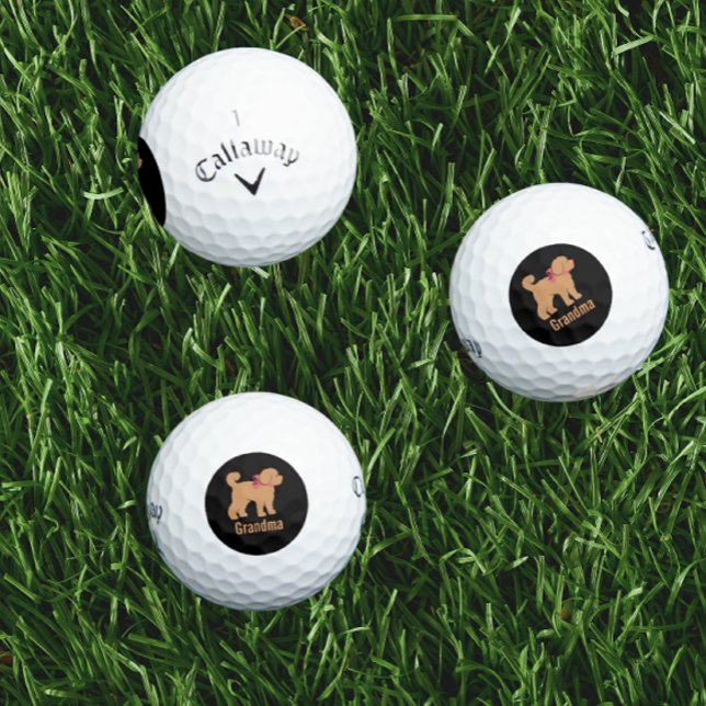 Pelotas De Golf Perro de Tan Doodle Personalizado en Negro (Personalized golf balls!)