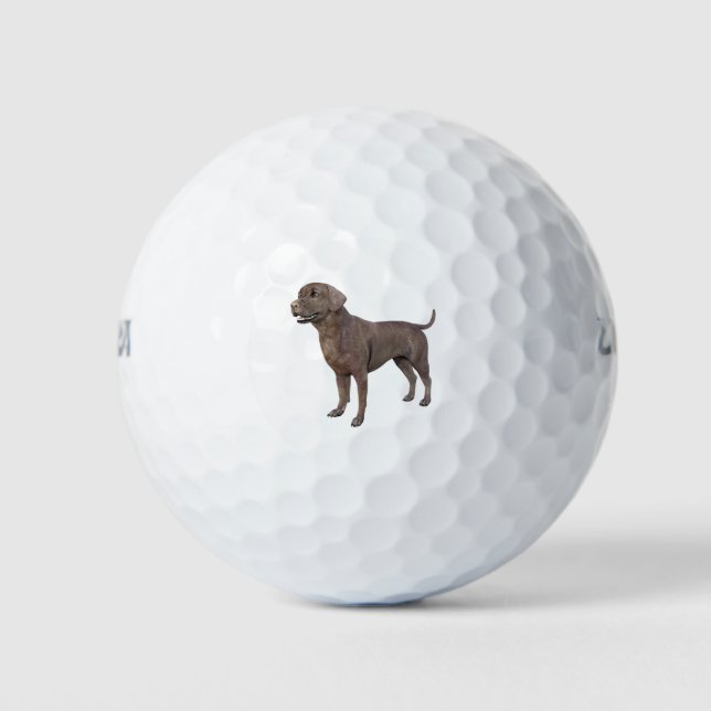 Pelotas De Golf Perro del chocolate labrador de pie (Anverso)