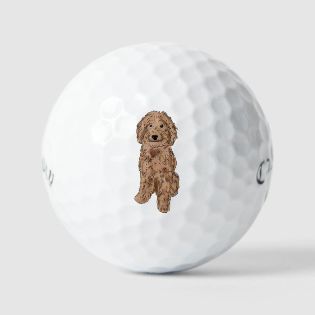 Pelotas De Golf Perro dorado (Anverso)