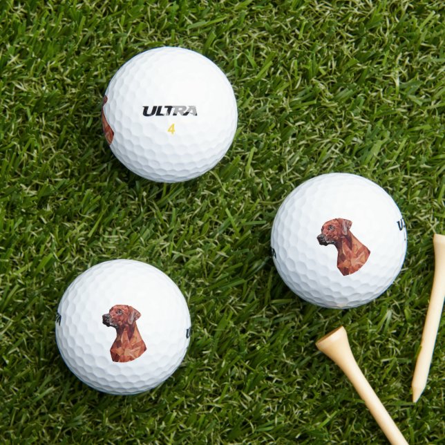 Pelotas De Golf Perro geométrico marrón (Césped in situ)