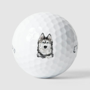 Pelotas De Golf Perro Husky