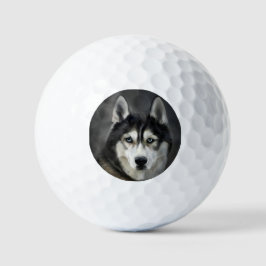 Pelotas De Golf Perro Husky Perro Grande Animal Mascota